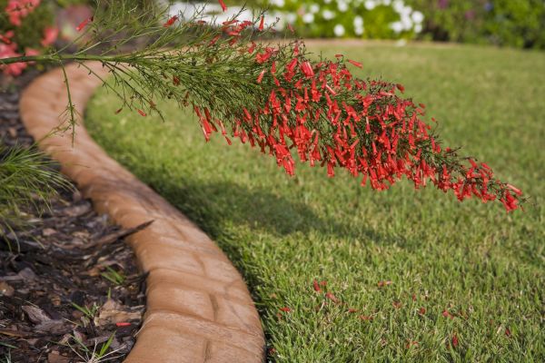 Brick Edging in Redwood City
