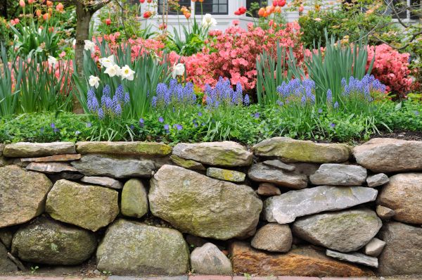 Stone Wall Hardscaping in Redwood City