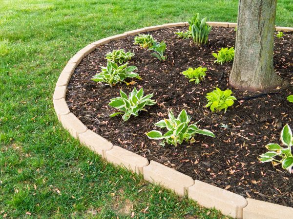 Stone Border Installation in Redwood City