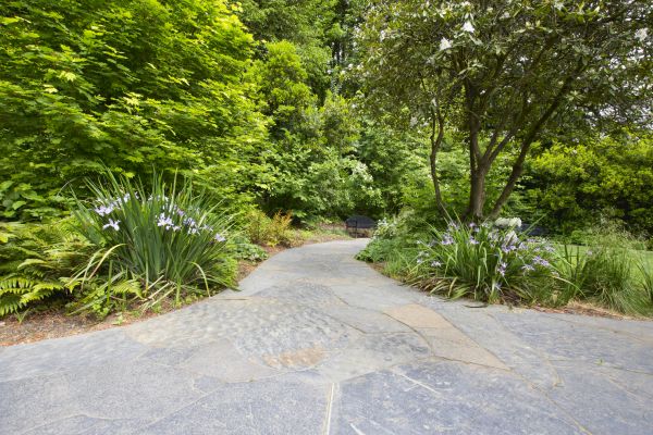Stone Hardscape Service in Redwood City
